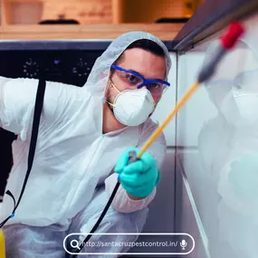 Bild von Pest Control Orlando