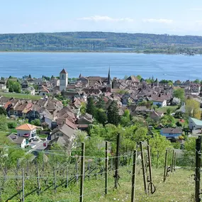 Bild von ARC NOTARIAT