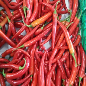 Bild von Fhunky Chef GmbH