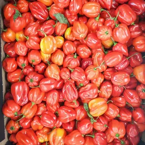 Bild von Fhunky Chef GmbH