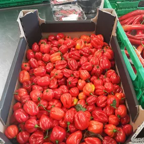 Bild von Fhunky Chef GmbH