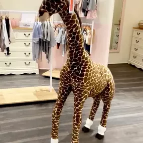 Bild von Mon Petit Dressing