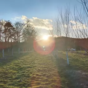 Bild von Eichhornhof