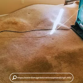 Bild von Water Damage Restoration St. Petersburg