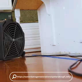 Bild von Water Damage Restoration St. Petersburg