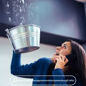 Bild von Water Damage Restoration St. Petersburg