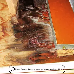 Bild von Water Damage Restoration St. Petersburg