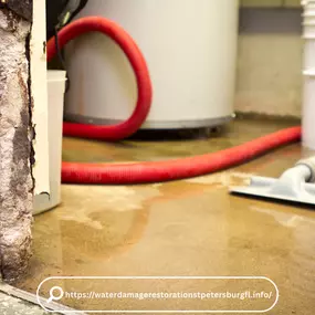 Bild von Water Damage Restoration St. Petersburg