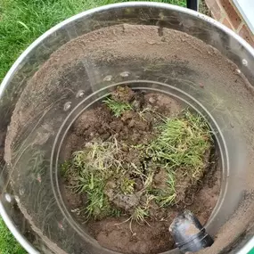 Bild von TMR Cleaning Services