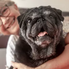 Resting Rainbow Pet Cremation of Metro Detroit