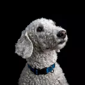 Bild von Pixellift-media