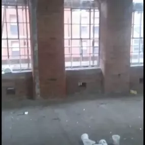 Bild von D & N Glazing Services