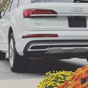 Bild von Audi Albany