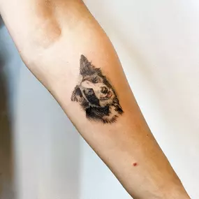 Mirkorealistisches Tattoo. Der Hund in Farbe dargestellt, auf dem Unterarm.