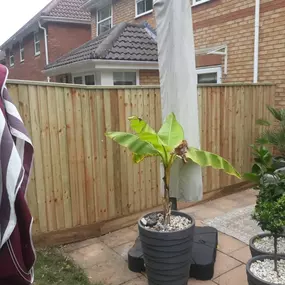 Bild von Cps Fencing & Sons Ltd