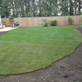 Bild von Cps Fencing & Sons Ltd