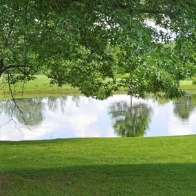 SPACIOUS HOMESITES UP TO 1/2 ACRE WITH SCENIC WATER AND PRESERVE VIEWS