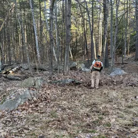 Bild von Continuity Landscape Services