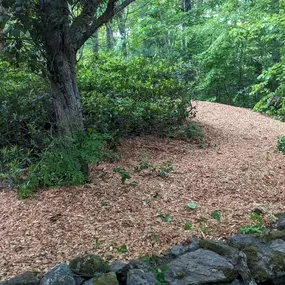 Bild von Continuity Landscape Services