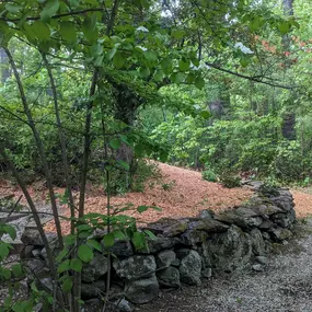 Bild von Continuity Landscape Services