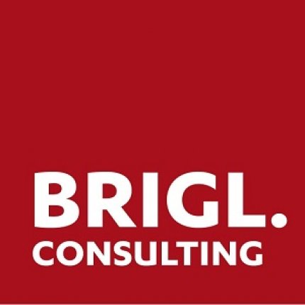 brigl consulting UG (haftungsbeschränkt)