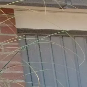 Bild von rijschool j.vankrugten