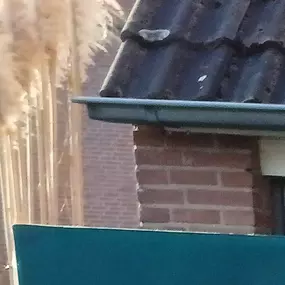 Bild von rijschool j.vankrugten