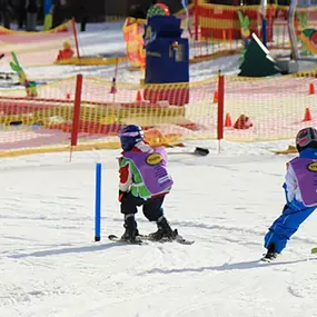 Bild von Wintersportschule Thoma | Feldberg
