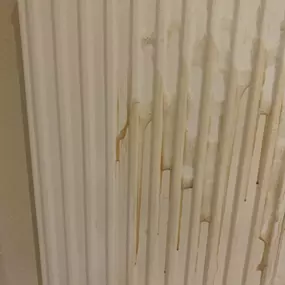 Bild von MMJ Glas- und Gebäudereinigung Manuel Seeliger