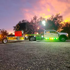 Bild von Croc Crash Solutions