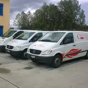 Bild von Chauffage entretien Luis Figueiredo Sàrl