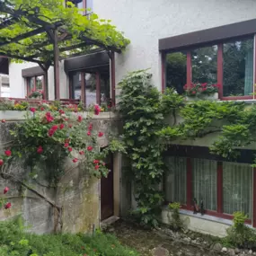 Bild von Morskoi Energie