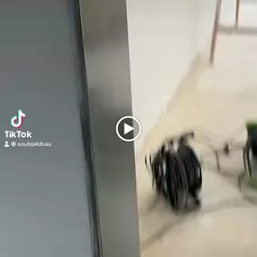 Bild von Pro Trockenbau Köln