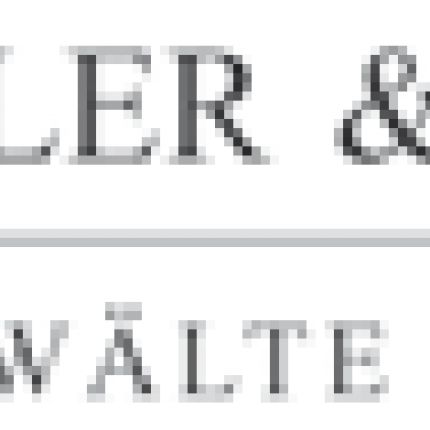 Logo de Templer & Partner