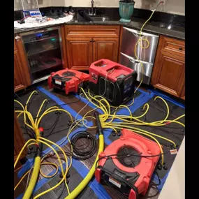 Bild von PuroClean of Naperville