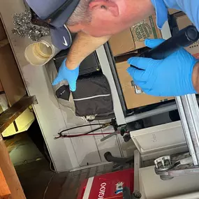 Bild von Responsible Pest & Scorpion Control