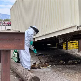 Bild von Responsible Pest & Scorpion Control