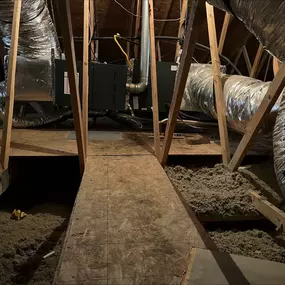 Bild von Responsible Pest & Scorpion Control