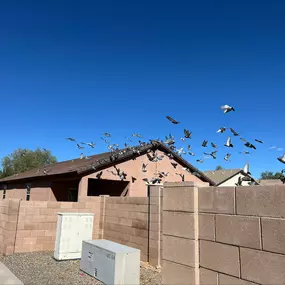 Bild von Responsible Pest & Scorpion Control