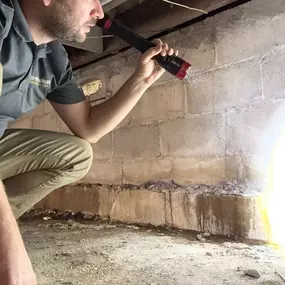 Crawl Space Inspection