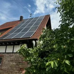 Bild von Aligator Photovoltaik