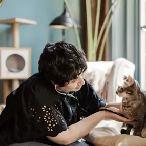 Bild von Calico Veterinary NYC