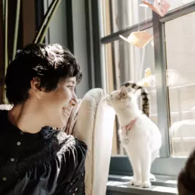 Bild von Calico Veterinary NYC