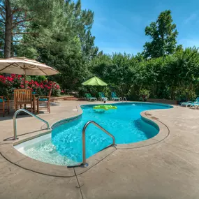 Bild von Everything Water