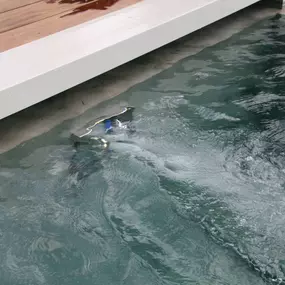 Bild von LEHNERT AG Teich - und Poolcenter