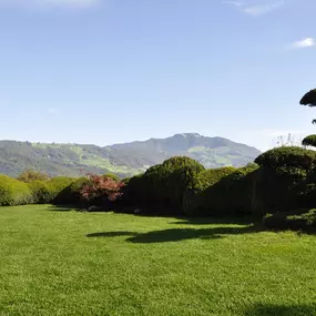 Bild von Ulrich Gartenbau AG