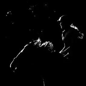 aerolibrium - Fitness-, Sport- & Kampfsport Fotografie - Augsburg Künstlerische Reitsportaufnahme zeigt Dynamik, Geschwindigkeit und starke Kontraste im dramatischen Gegenlicht.