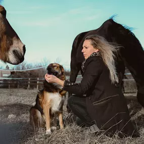 Bild von Equi Anim34