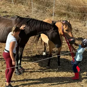 Bild von Equi Anim34