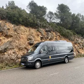 Bild von Fleet and Goo Minibus